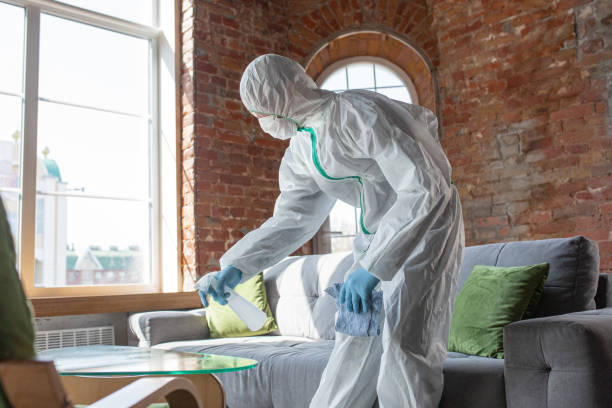 Best Emergency Mold Remediation  in Westlake Vlage, IL