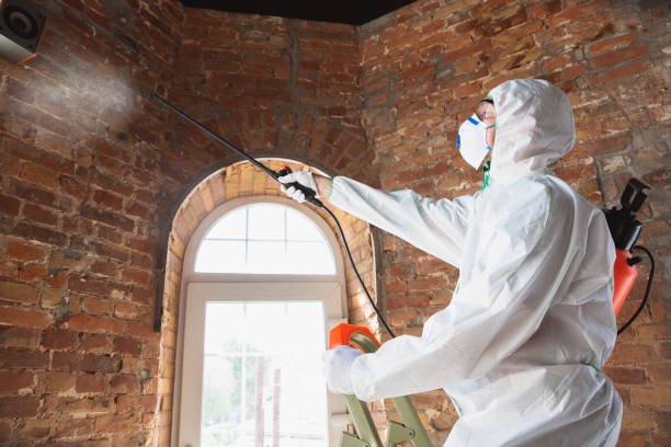 Best Comprehensive Air Testing for Mold Contaminants  in Westlake Vlage, IL